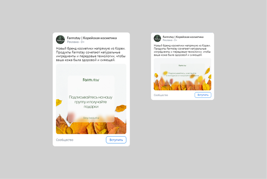 Paid Social Media Ads on VK and Telegram